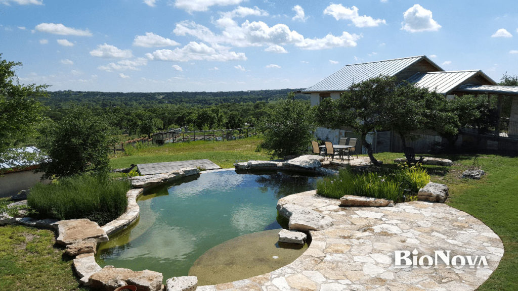 Living Pool | Natural Looking Swimming Pools | All Natural Pool | Organic Swimming Pool | Luxury Outdoor Pool