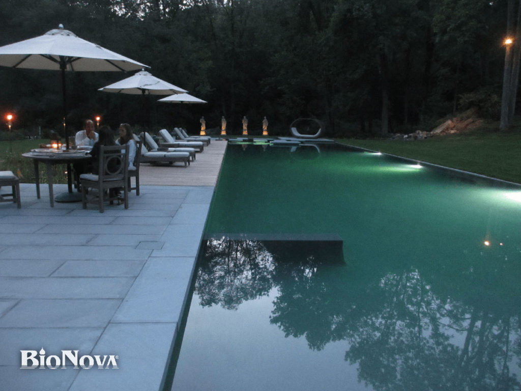 Living Pool | Natural Filter Pool | All Natural Swimming Pool | Luxury Outdoor Pool | High End Pool