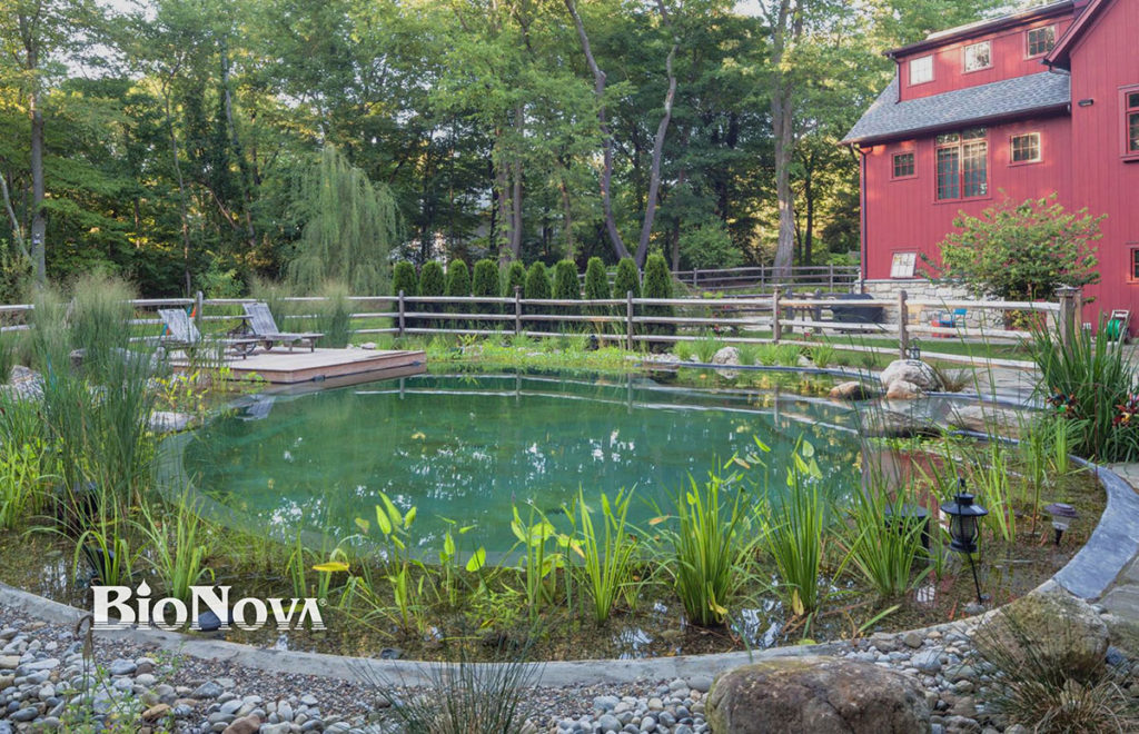 Living Pool | Biopond | Natural Lagoon Pool | Natural Filtration Pool
