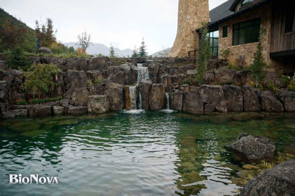 Living Pool | Natural Rock Swimming Pool | Natural Waterfall Pool | Natural Stone Pool