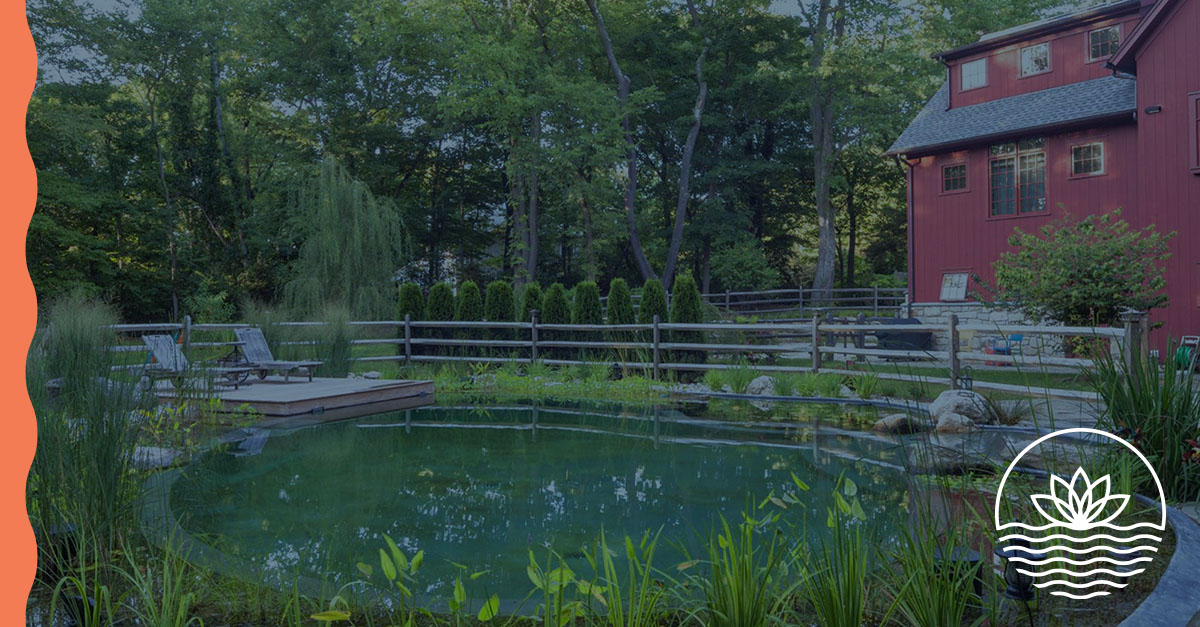 10 Questions to Ask Yourself Before Building a Living Pool - Nature's ...