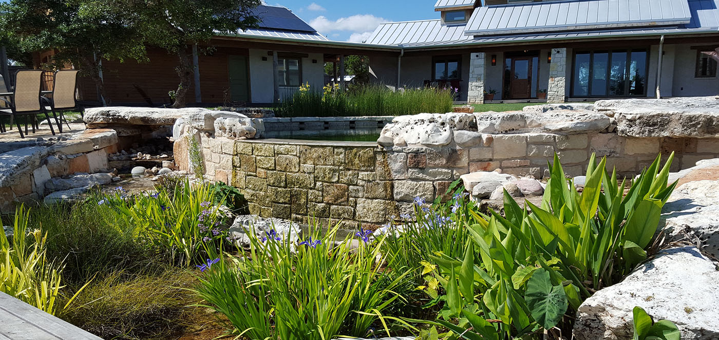 10 Questions to Ask Yourself Before Building a Living Pool - Nature's ...
